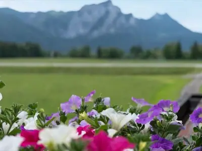 Ferienwohnung für 3 Personen (22 m²) in Innerschwand 10/10