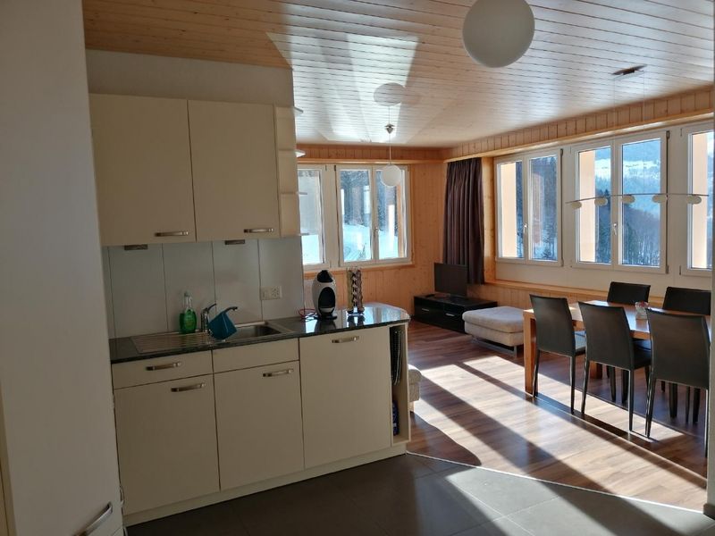 22634845-Ferienwohnung-4-Innertkirchen-800x600-0