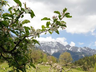 Ferienwohnung für 4 Personen (55 m²) in Innsbruck 7/10