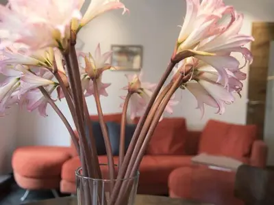 Ferienwohnung für 4 Personen (63 m²) in Innsbruck 7/10