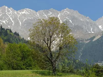Ferienwohnung für 4 Personen (60 m²) in Stadt Innsbruck 6/10