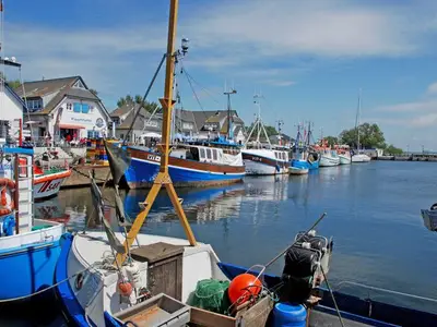 Ferienwohnung für 4 Personen (40 m²) in Hiddensee 10/10