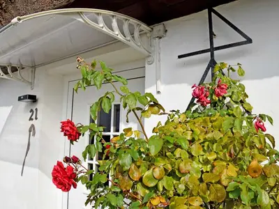 Ferienwohnung für 2 Personen (18 m²) in Hiddensee 4/10