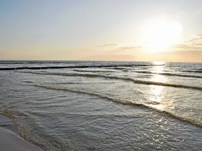 Ferienwohnung für 2 Personen (18 m²) in Hiddensee 9/10