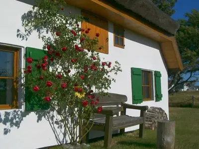 Ferienwohnung für 2 Personen (33 m²) in Hiddensee 2/10