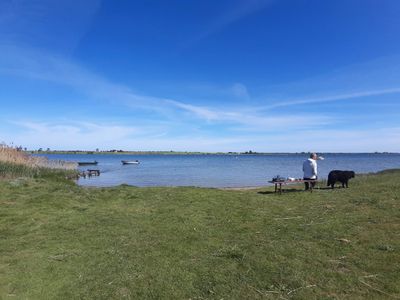 Ferienwohnung für 3 Personen (55 m²) in Insel Poel 9/10