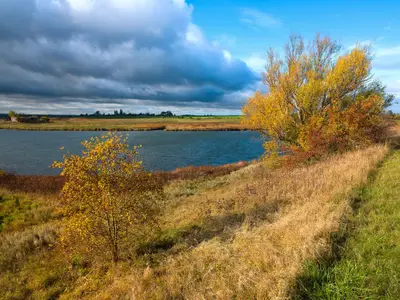Landschaft