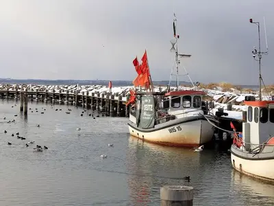 Ferienwohnung für 2 Personen (50 m²) in Insel Poel 4/10