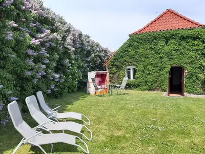 Ferienwohnung für 4 Personen (45 m²) in Insel Poel 3/10