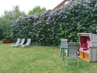 Ferienwohnung für 4 Personen (45 m²) in Insel Poel 4/10