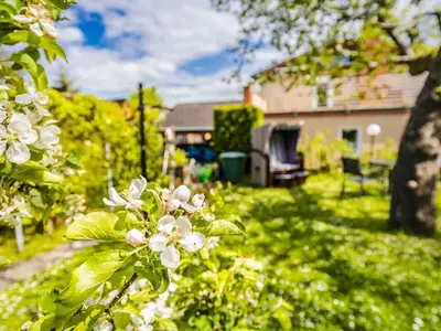 Ferienwohnung für 2 Personen (42 m²) in Insel Poel 2/10