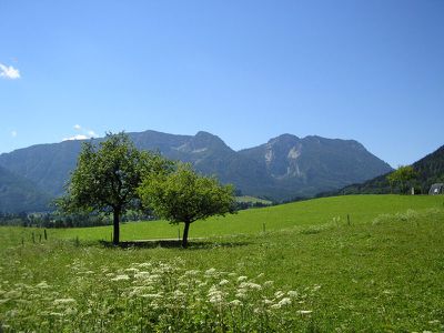 Ausblick auf den Kienberg und Rauschberg