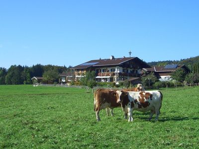 Hausansicht Sommer