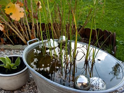 Unser Garten