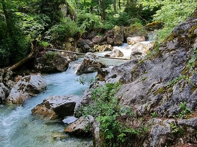 Ausflugsziel Zauberwald