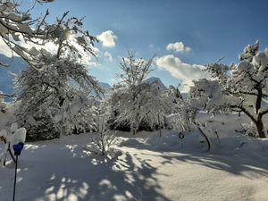 Griachalgarten im Winter