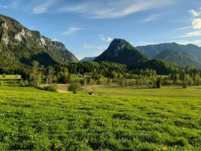 Blick zum Falkenstein