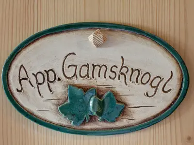 Appartement Gamsknogl
