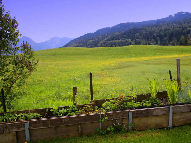 72940-Ferienwohnung-6-Inzell-800x600-2