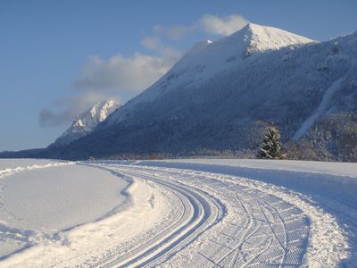 Langlaufloipe mit Blick auf den Gamskogel