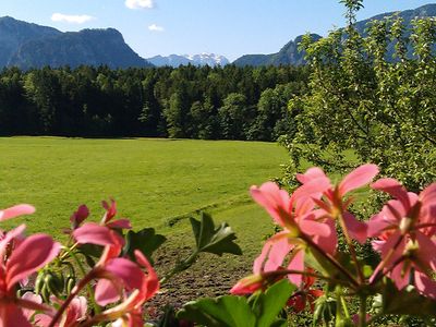 Blick vom Balkon