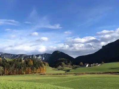 Umgebung_Sommer