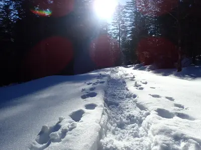 Winterwanderung