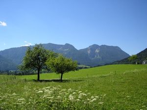 21680229-Ferienwohnung-4-Inzell-300x225-5