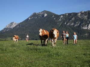 18707728-Ferienwohnung-4-Inzell-300x225-4