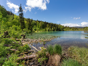 24059343-Ferienwohnung-2-Inzell-300x225-4