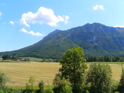 Ausblick vom Balkon