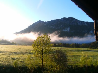 Ausblick vom Balkon