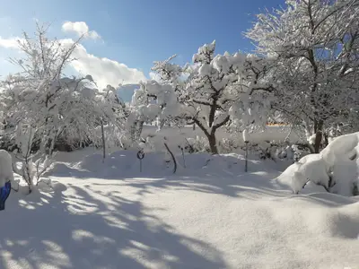 Blick vom Balkon in den Griachalgarten