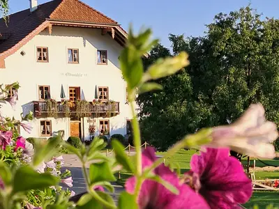 Die historische Ödmühle mit 7 traumhaften Ferienwohnungen