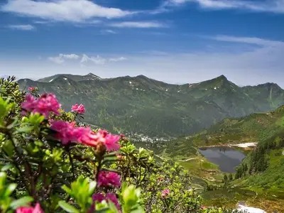 Ferienwohnung für 6 Personen (55 m²) in Donnersbach 6/10