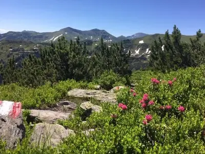 Ferienwohnung für 2 Personen (30 m²) in Donnersbach 5/10