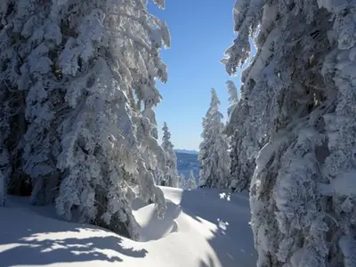 Ferienwohnung für 3 Personen (32 m²) in Donnersbach 2/10