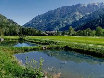 Ferienwohnung für 3 Personen (32 m²) in Donnersbach 8/10