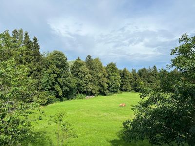 Ferienwohnung für 3 Personen (70 m²) in Irschenberg 6/10