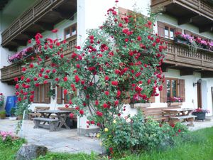 23177049-Ferienwohnung-4-Irschenberg-300x225-4