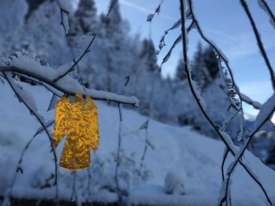 weihnachten in weiss