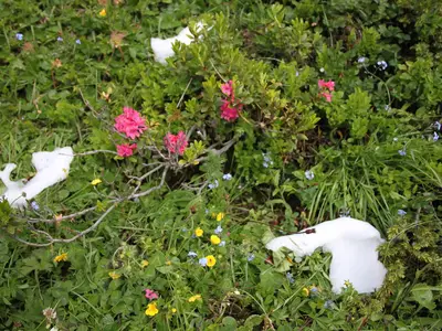 Schnee auch im Sommer