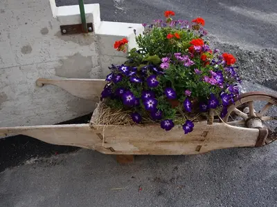 Blumen
