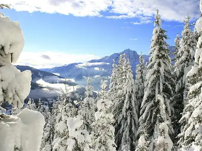 Winter2 2048