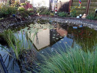 Ferienwohnung Seerose Seerosenteich