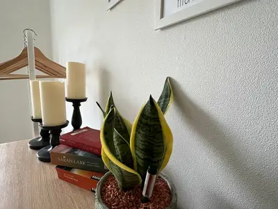 Ferienwohnung für 8 Personen (132 m²) in Isenbüttel 7/10