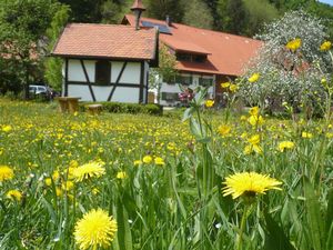 18808586-Ferienwohnung-5-Isny im Allgäu-300x225-0