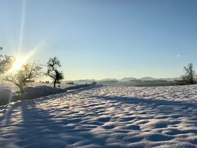 Winterliche Morgenstimmung