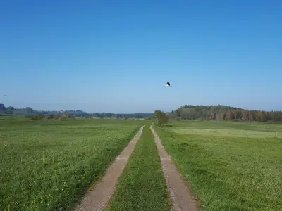 Bodenmöser