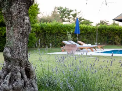 Ferienwohnung für 8 Personen in Isola Albarella 4/10